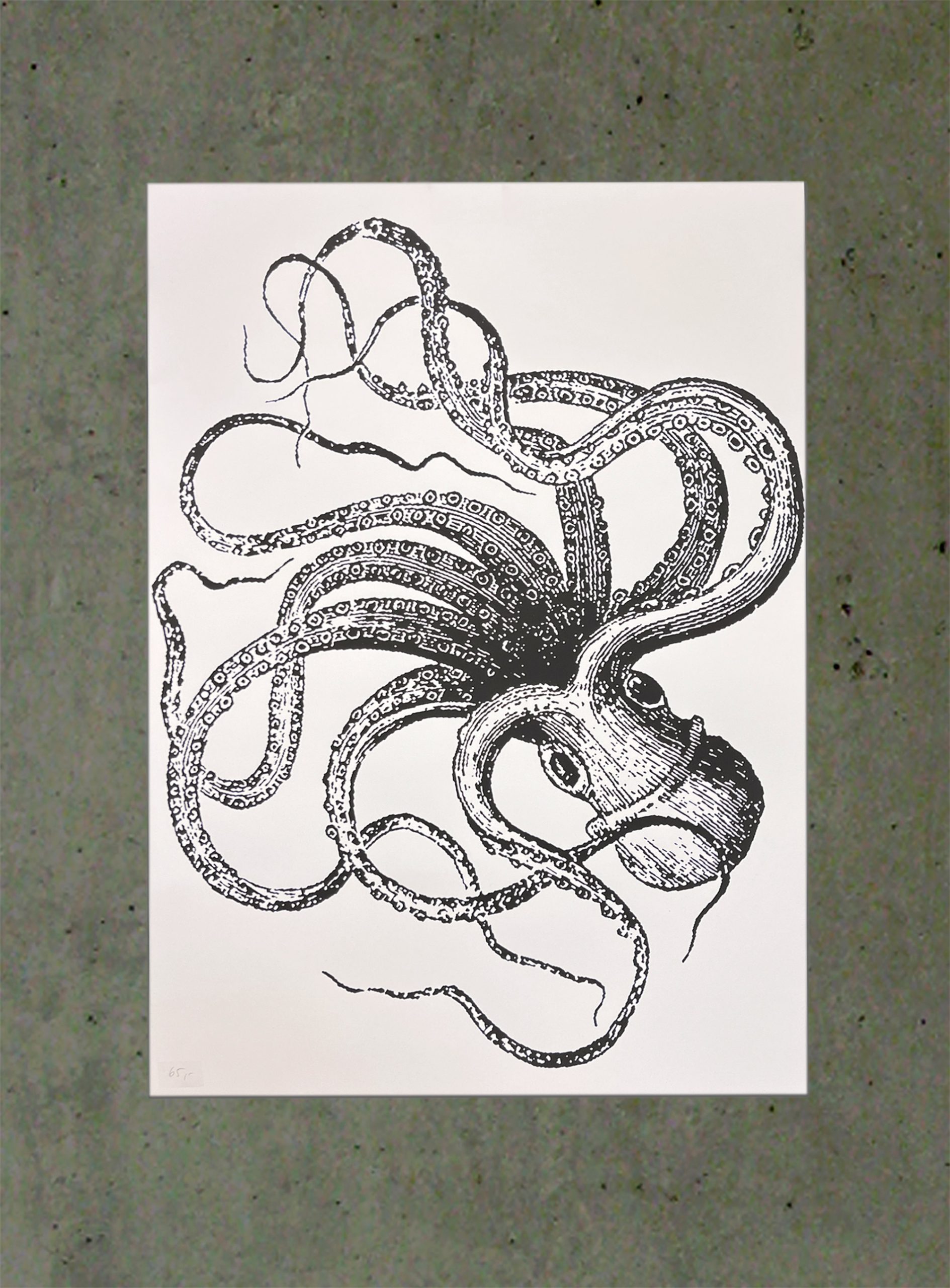 Plakat Oktopus – Bild 2
